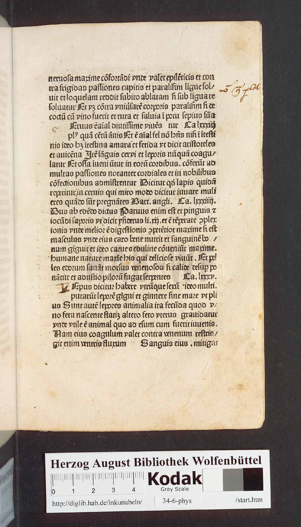 http://diglib.hab.de/inkunabeln/34-6-phys/00339.jpg