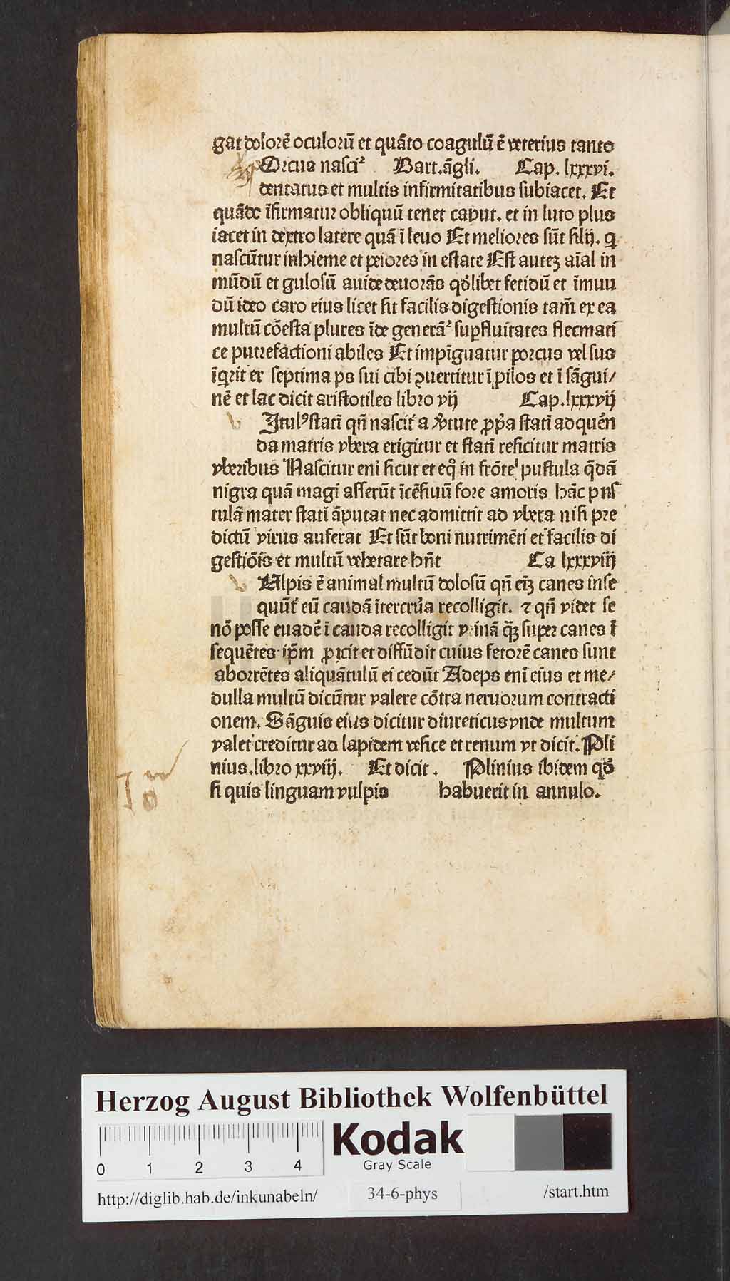 http://diglib.hab.de/inkunabeln/34-6-phys/00340.jpg