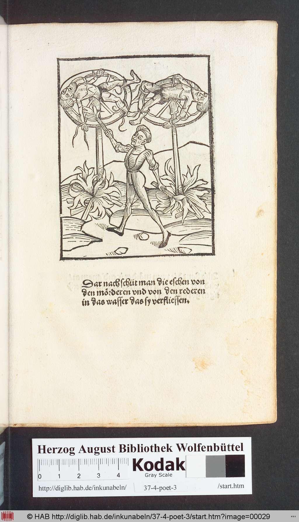 http://diglib.hab.de/inkunabeln/37-4-poet-3/00029.jpg