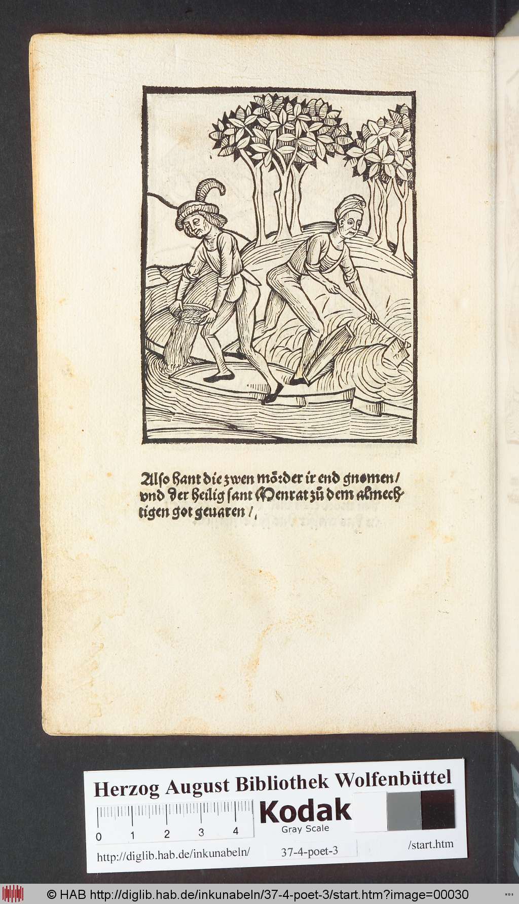 http://diglib.hab.de/inkunabeln/37-4-poet-3/00030.jpg