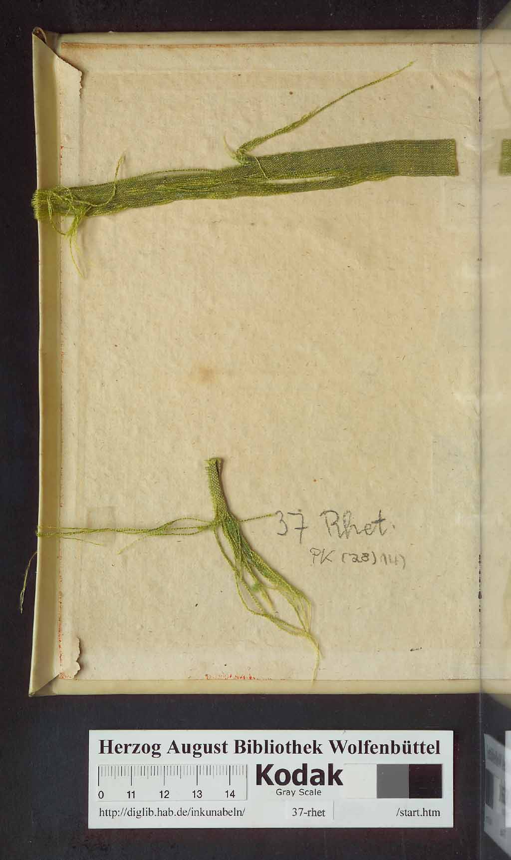 http://diglib.hab.de/inkunabeln/37-rhet-15/eb02.jpg