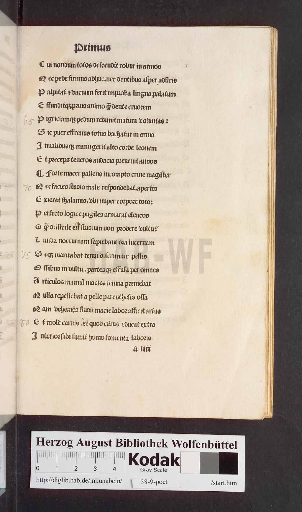 http://diglib.hab.de/inkunabeln/38-9-poet/00011.jpg