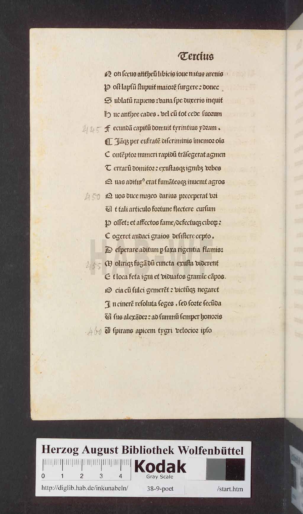 http://diglib.hab.de/inkunabeln/38-9-poet/00086.jpg