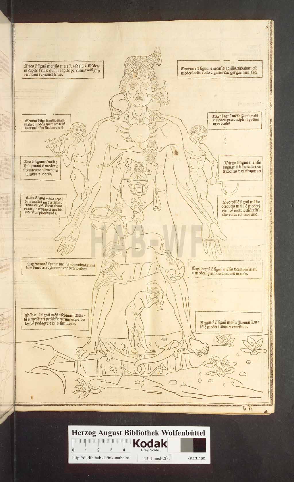http://diglib.hab.de/inkunabeln/43-4-med-2f-1/00017.jpg