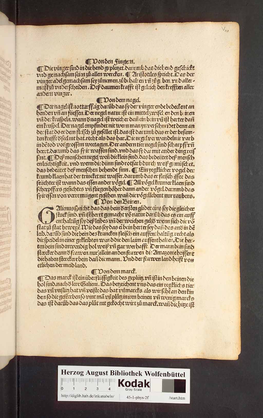 http://diglib.hab.de/inkunabeln/45-1-phys-2f/00023.jpg