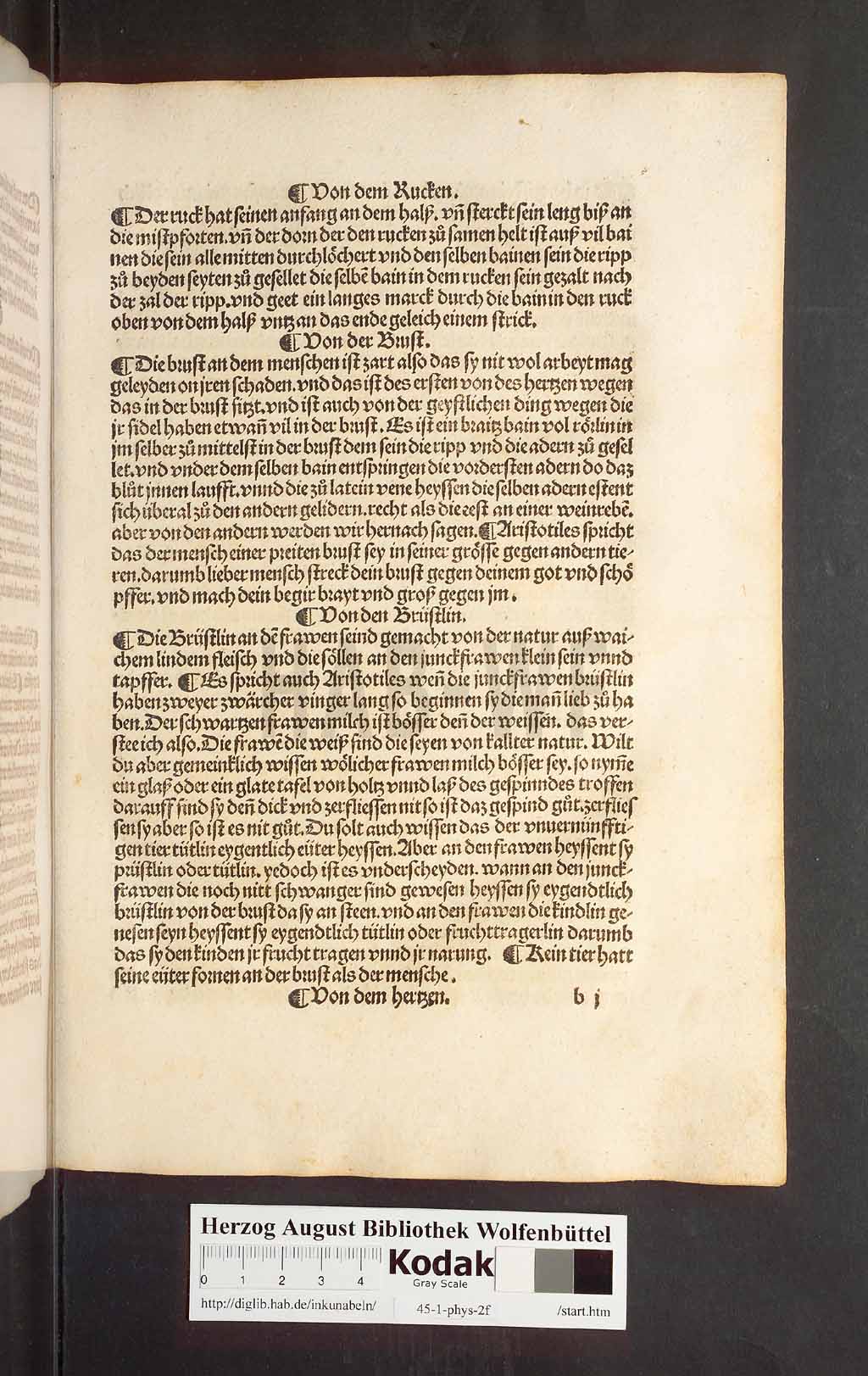 http://diglib.hab.de/inkunabeln/45-1-phys-2f/00025.jpg