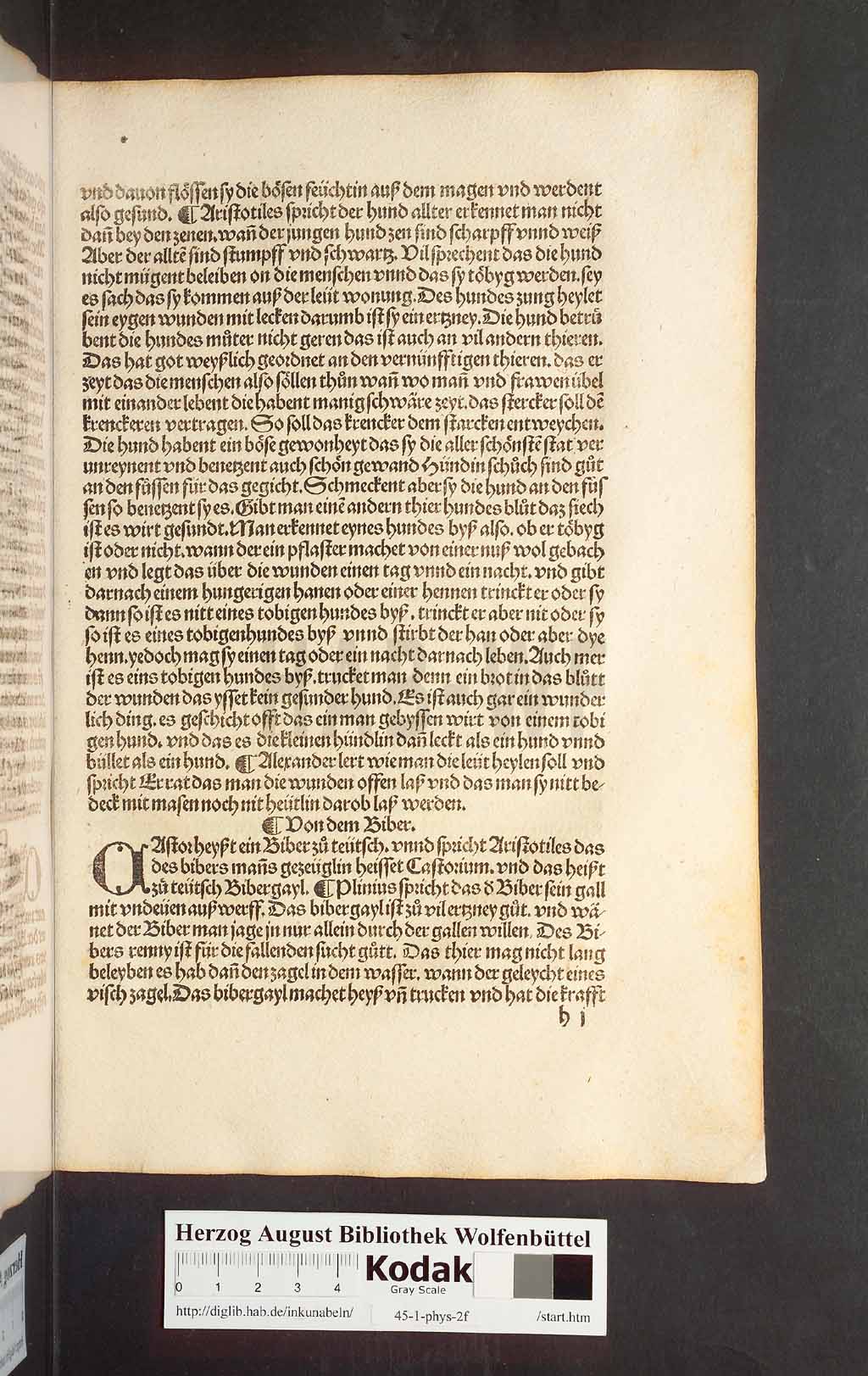 http://diglib.hab.de/inkunabeln/45-1-phys-2f/00095.jpg