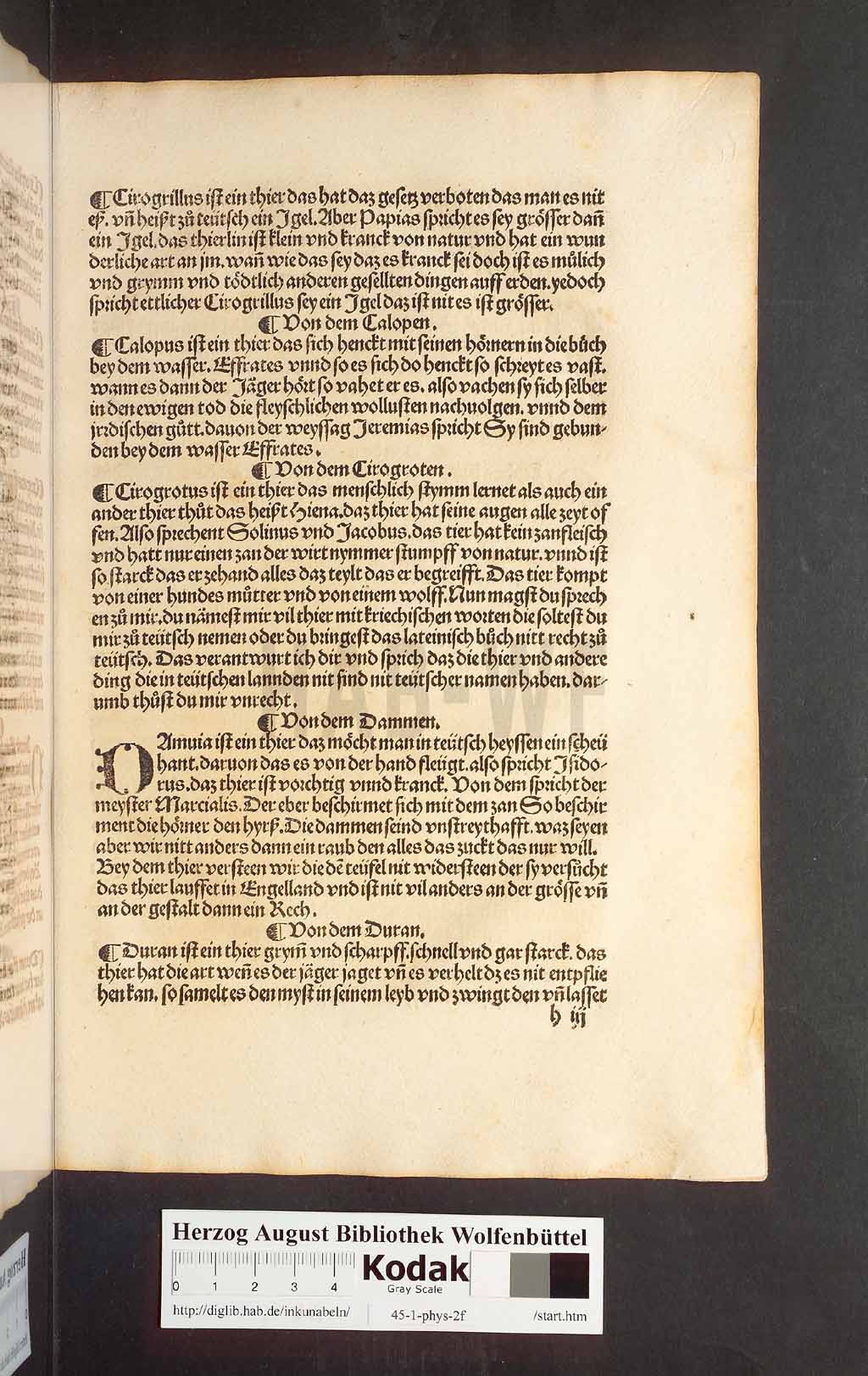 http://diglib.hab.de/inkunabeln/45-1-phys-2f/00099.jpg
