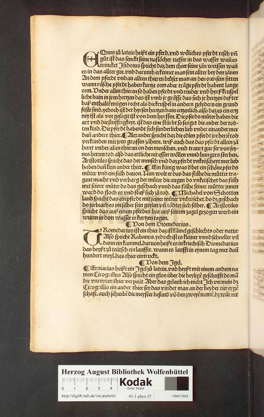 http://diglib.hab.de/inkunabeln/45-1-phys-2f/00102.jpg