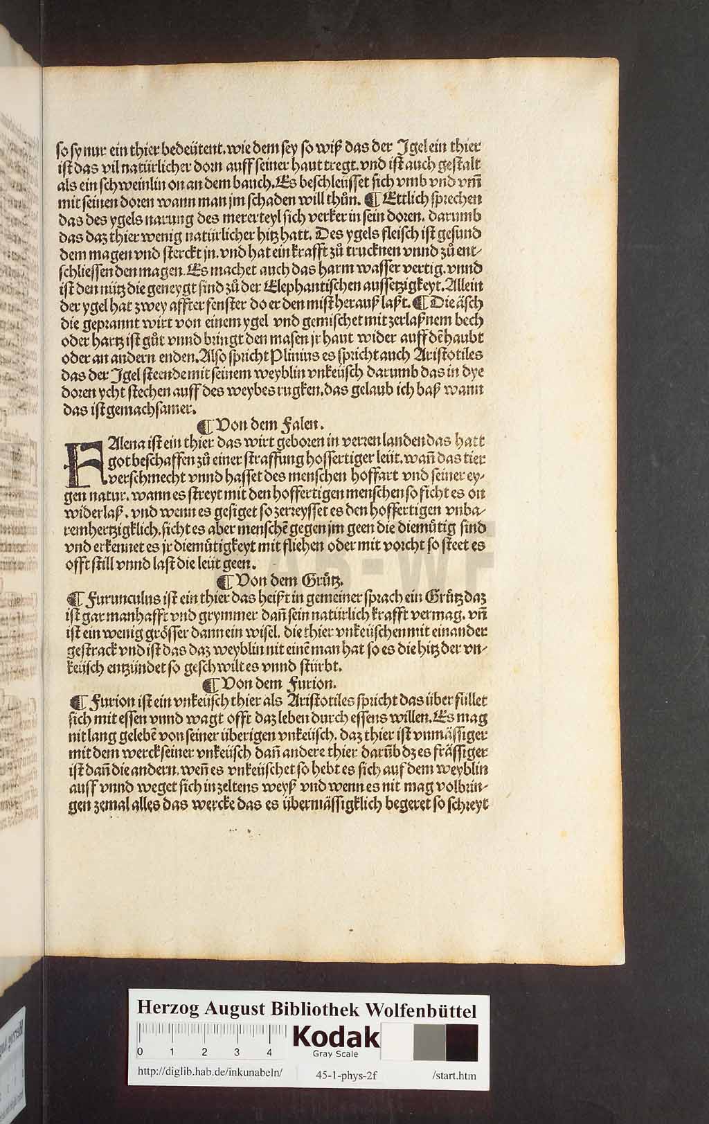 http://diglib.hab.de/inkunabeln/45-1-phys-2f/00103.jpg