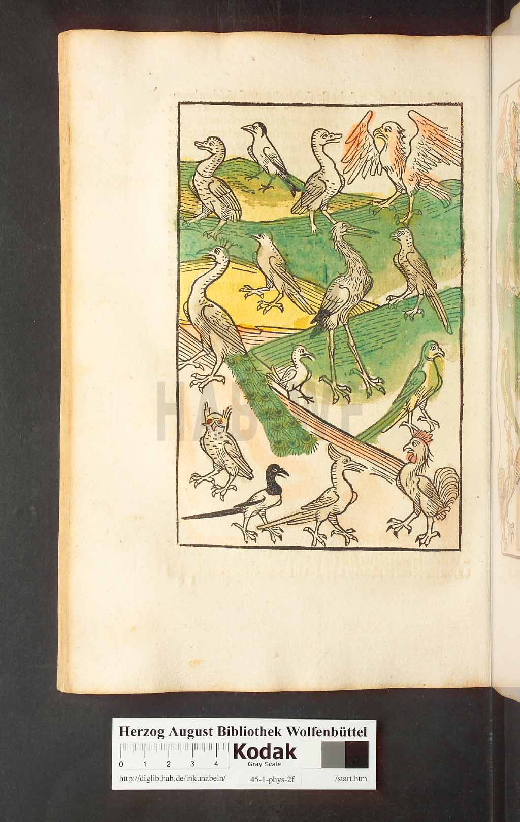 http://diglib.hab.de/inkunabeln/45-1-phys-2f/00120.jpg