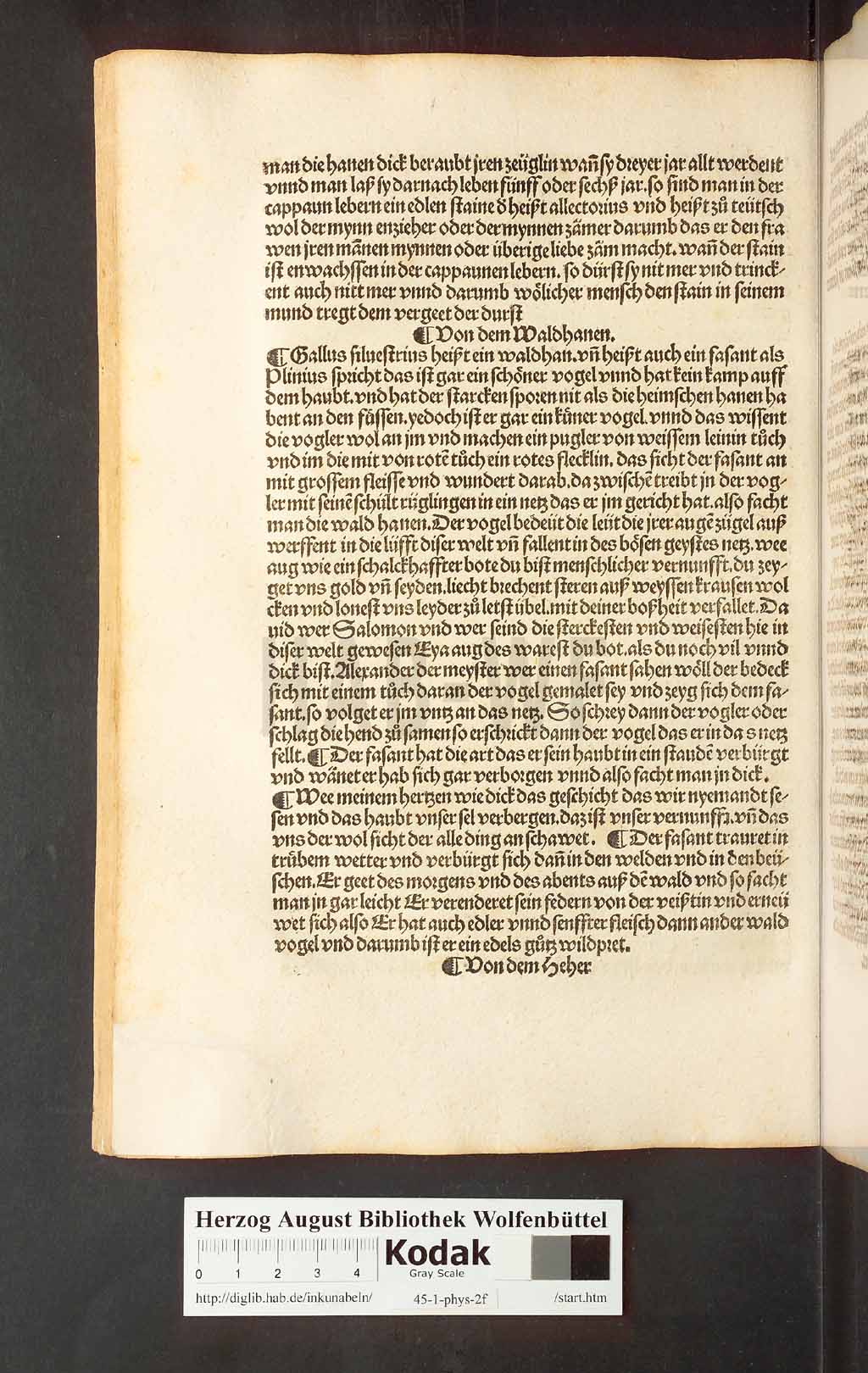 http://diglib.hab.de/inkunabeln/45-1-phys-2f/00142.jpg