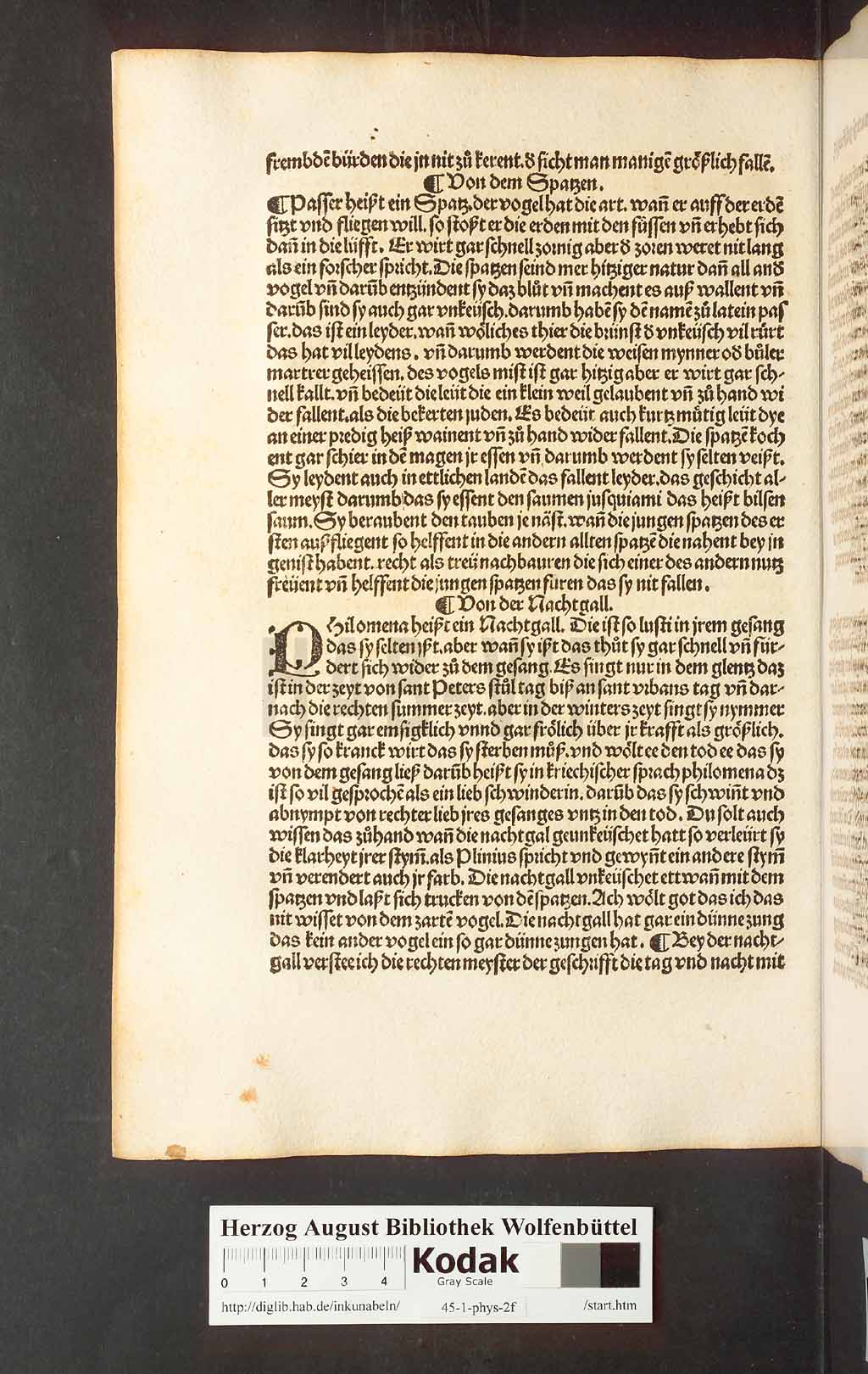 http://diglib.hab.de/inkunabeln/45-1-phys-2f/00156.jpg