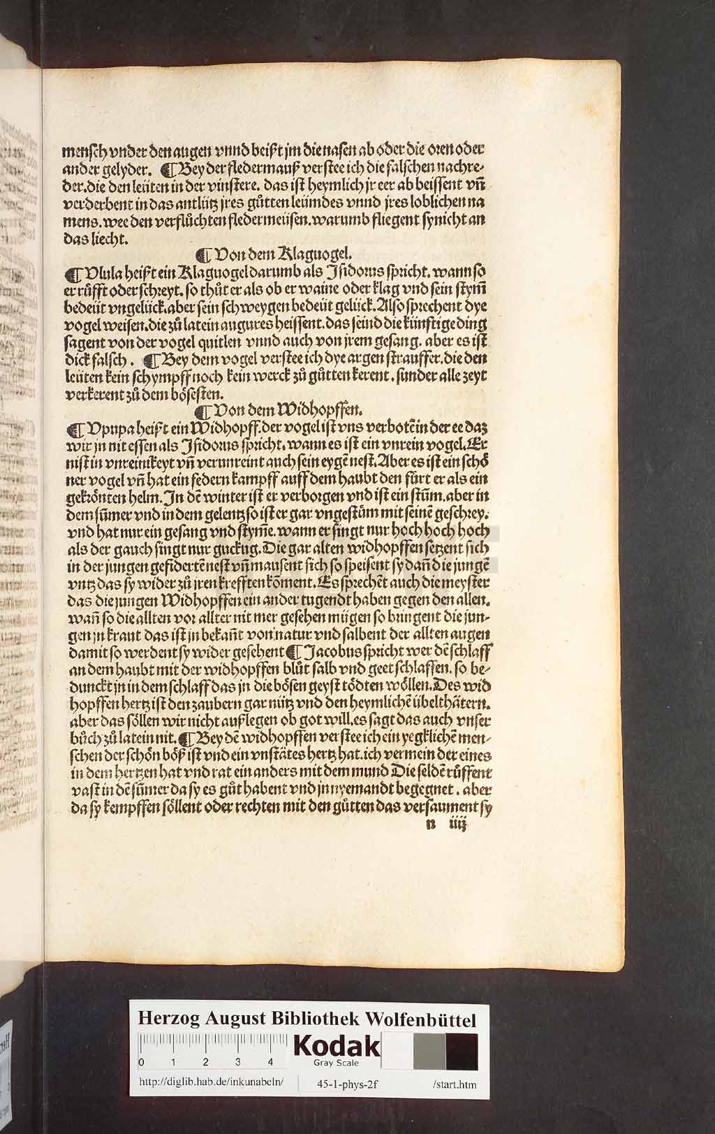 http://diglib.hab.de/inkunabeln/45-1-phys-2f/00161.jpg