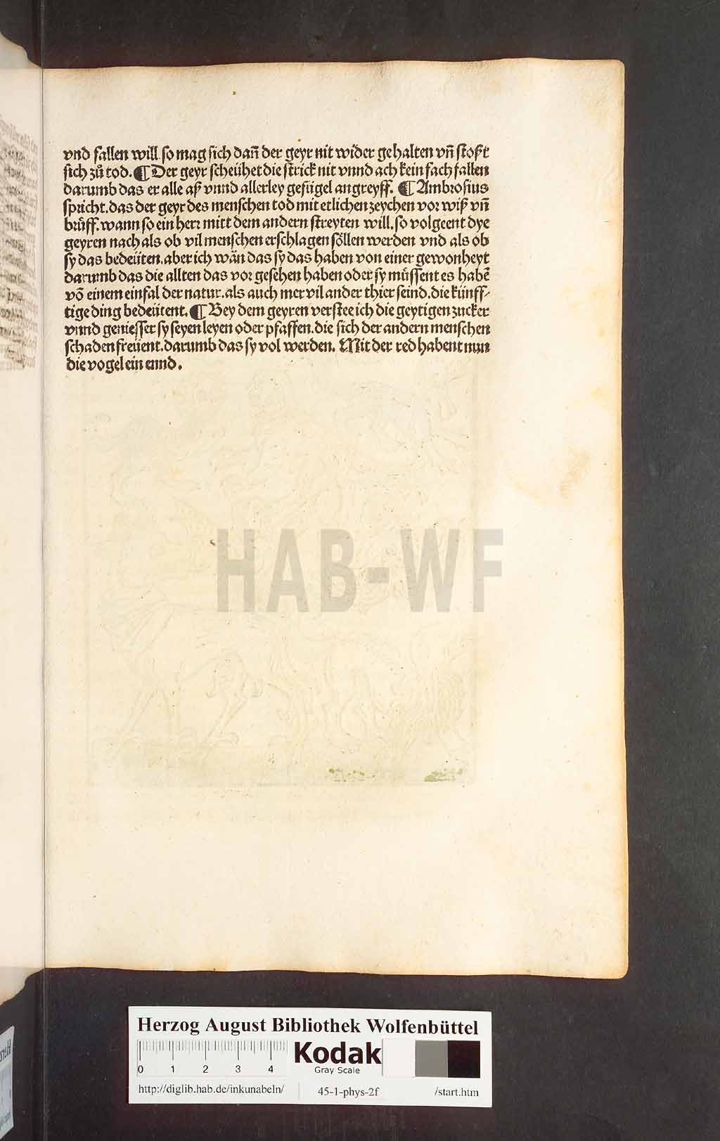 http://diglib.hab.de/inkunabeln/45-1-phys-2f/00163.jpg