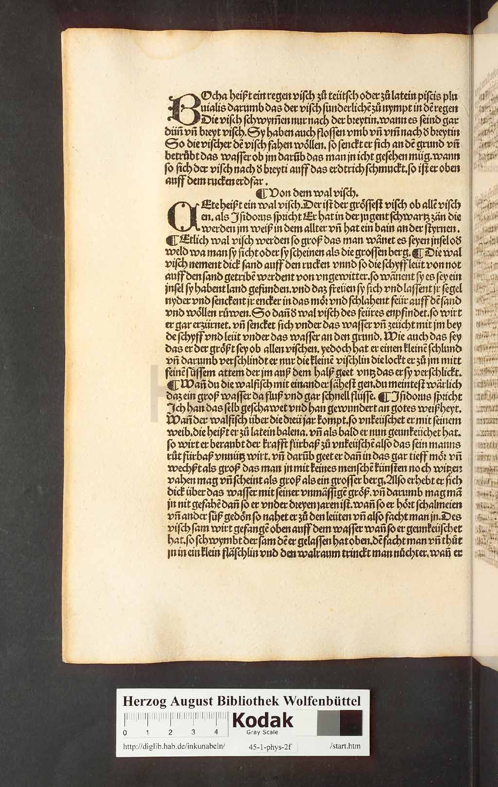 http://diglib.hab.de/inkunabeln/45-1-phys-2f/00178.jpg