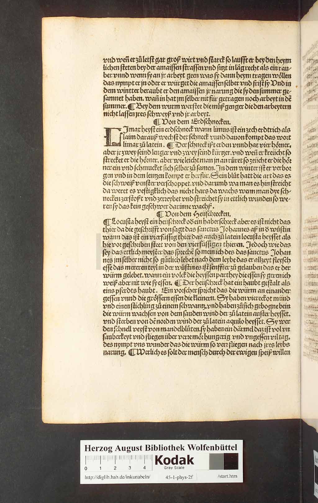 http://diglib.hab.de/inkunabeln/45-1-phys-2f/00218.jpg