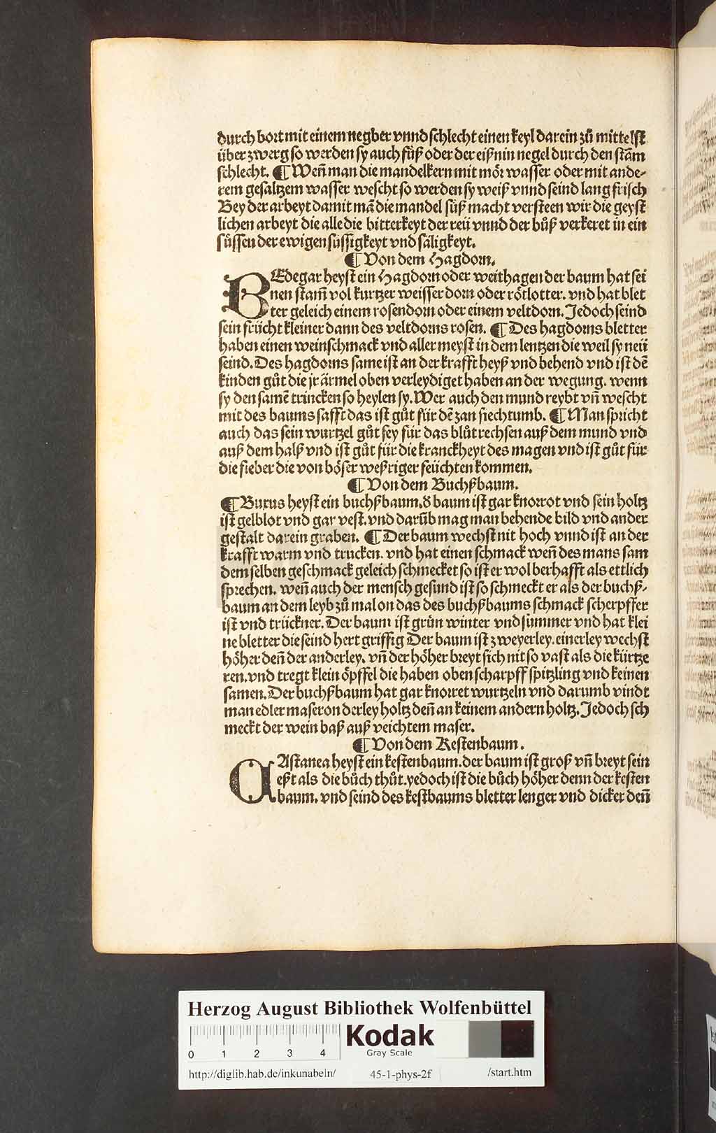http://diglib.hab.de/inkunabeln/45-1-phys-2f/00228.jpg