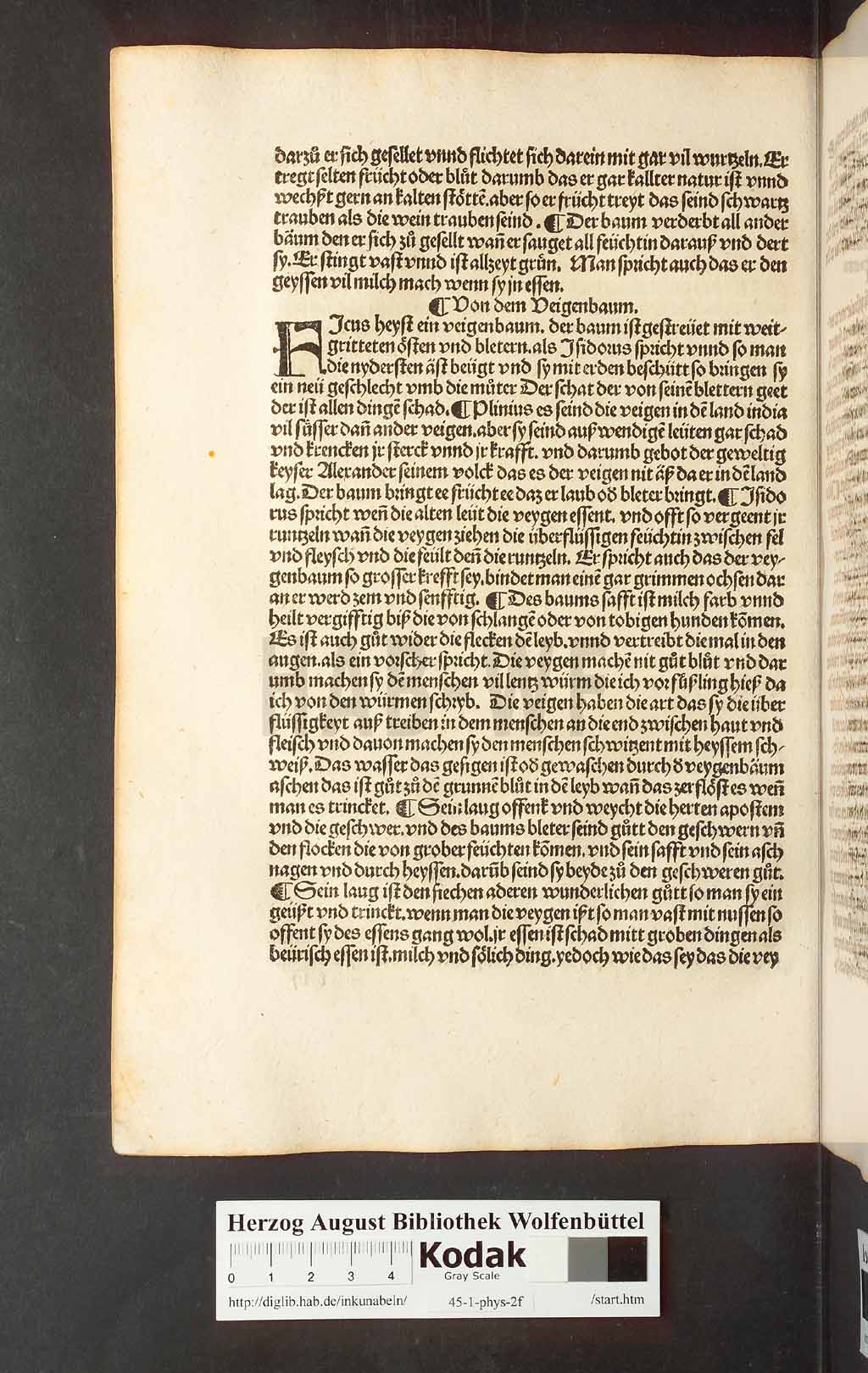 http://diglib.hab.de/inkunabeln/45-1-phys-2f/00232.jpg