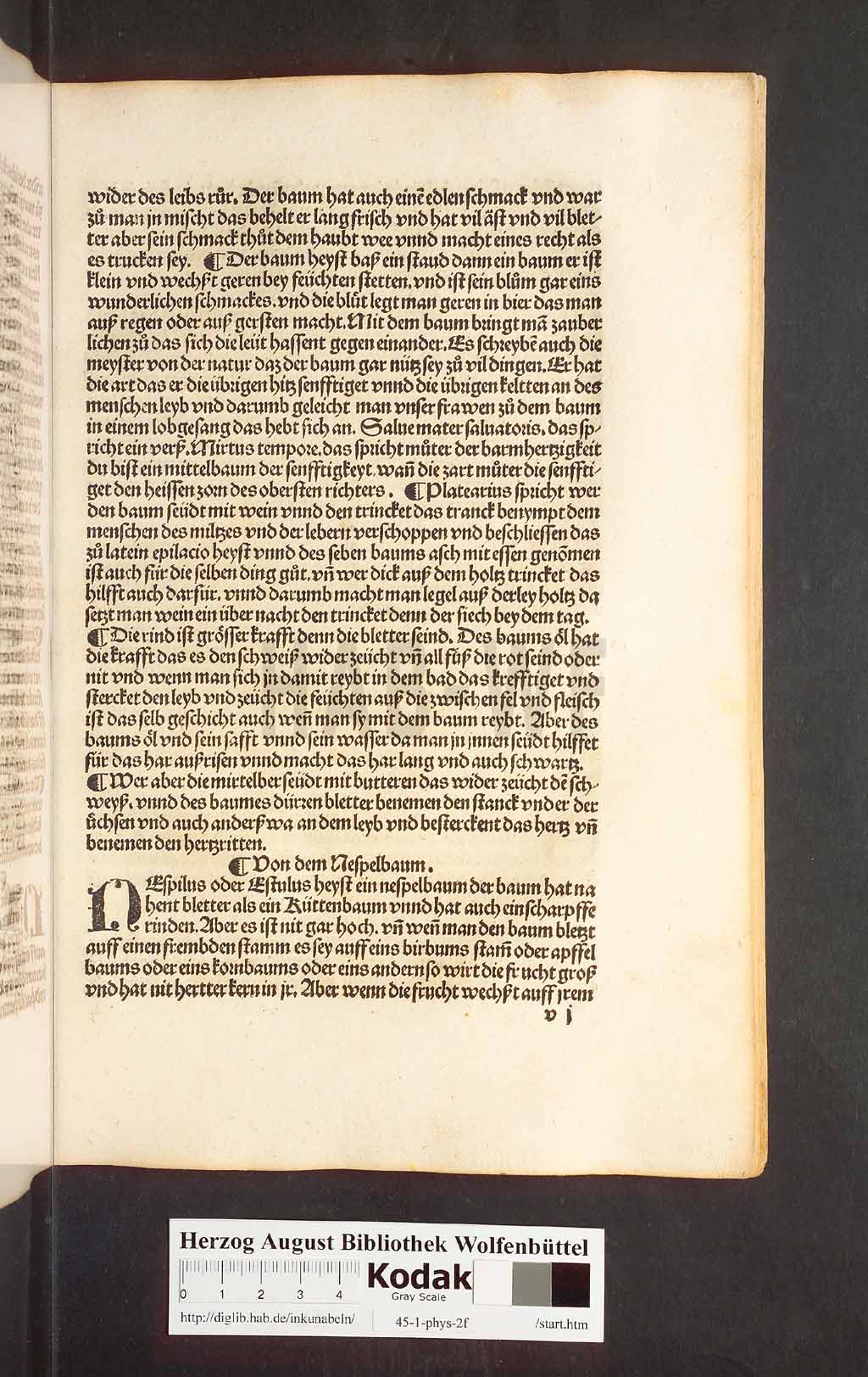 http://diglib.hab.de/inkunabeln/45-1-phys-2f/00239.jpg