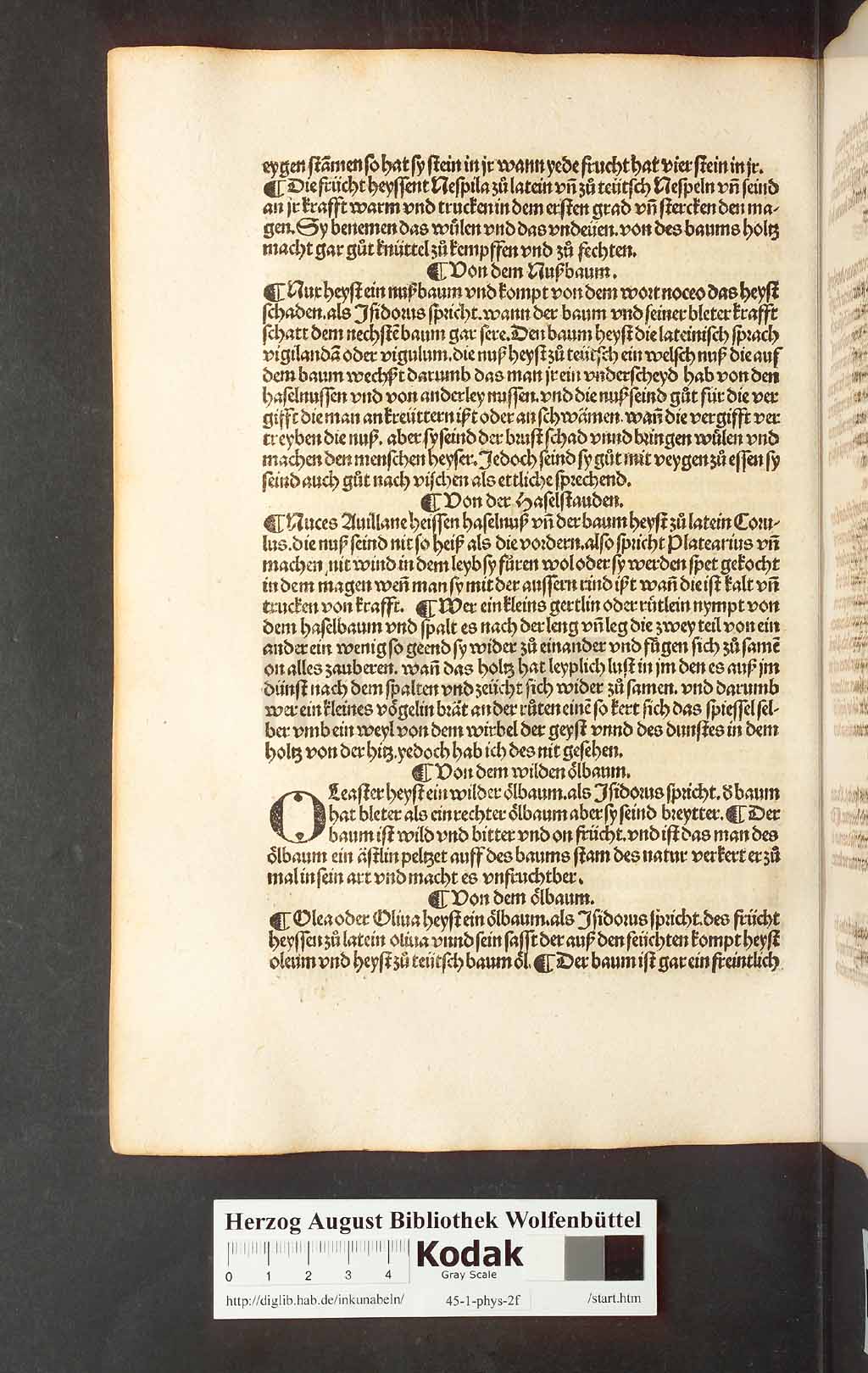 http://diglib.hab.de/inkunabeln/45-1-phys-2f/00240.jpg