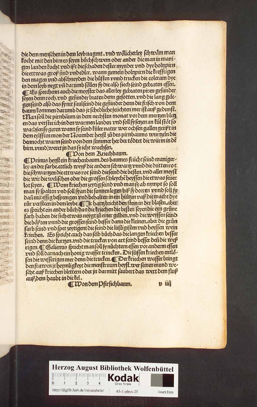 http://diglib.hab.de/inkunabeln/45-1-phys-2f/00245.jpg