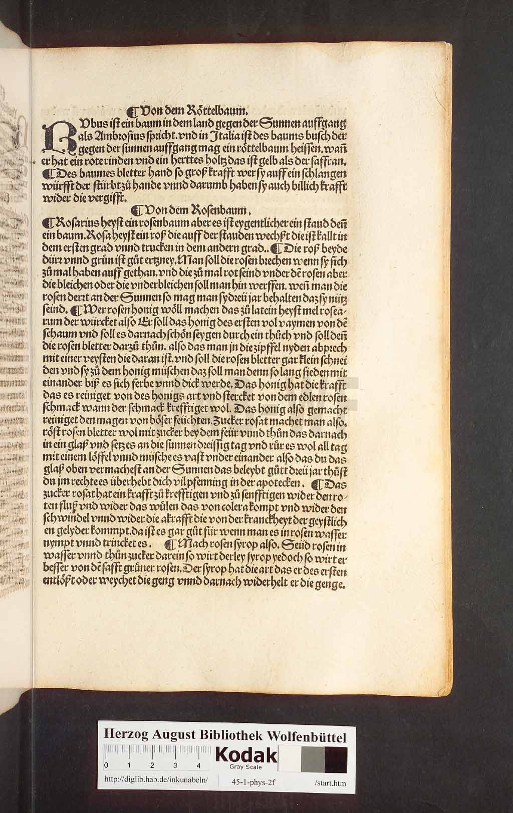 http://diglib.hab.de/inkunabeln/45-1-phys-2f/00247.jpg