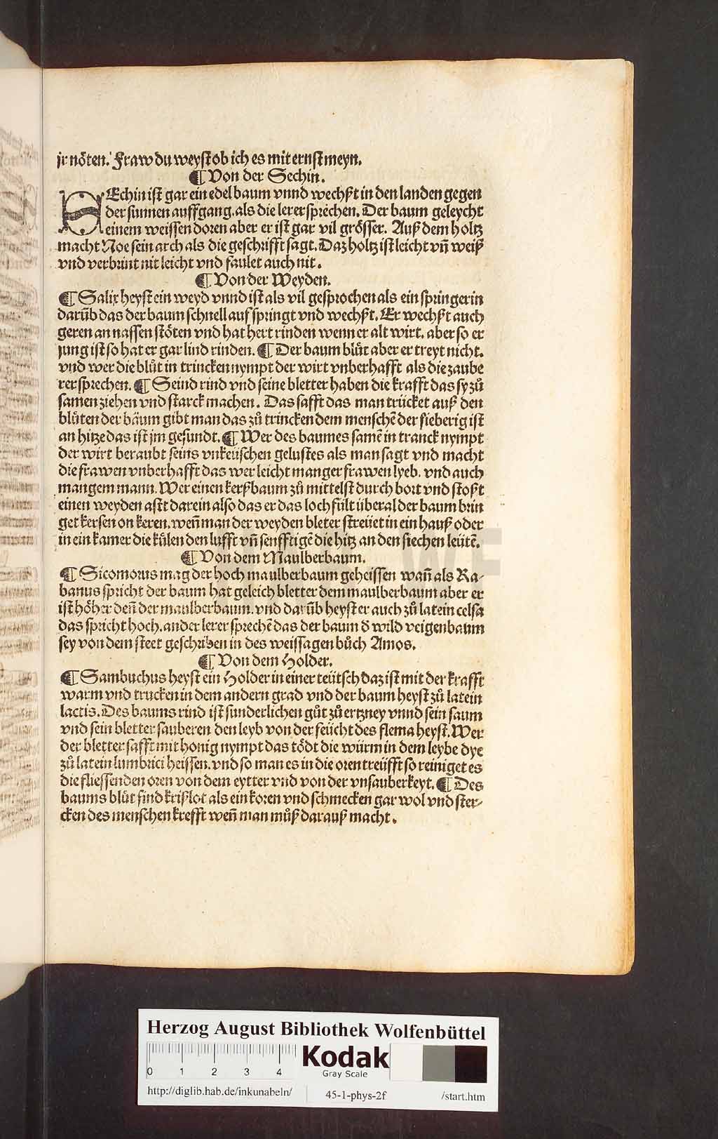 http://diglib.hab.de/inkunabeln/45-1-phys-2f/00249.jpg