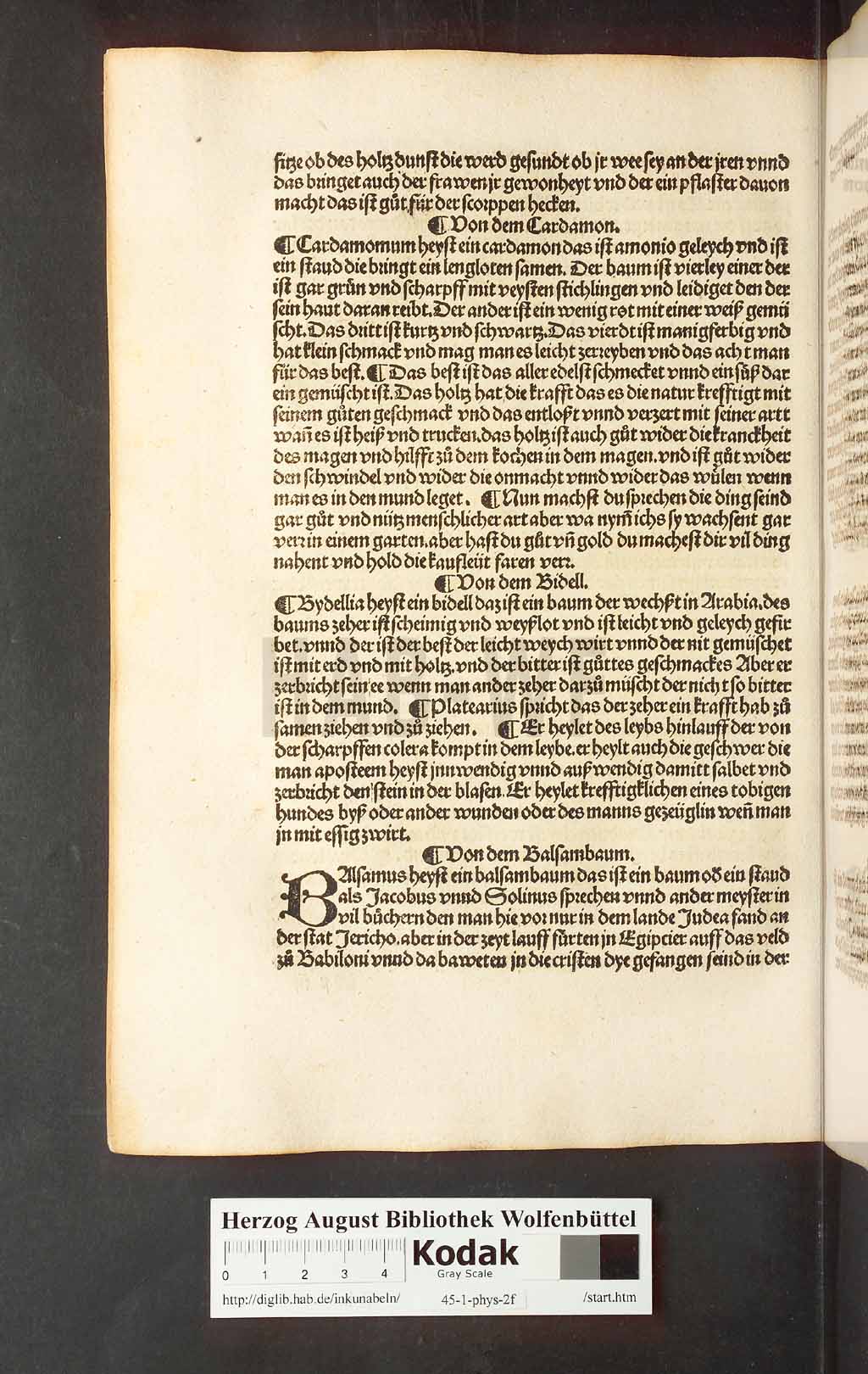 http://diglib.hab.de/inkunabeln/45-1-phys-2f/00256.jpg
