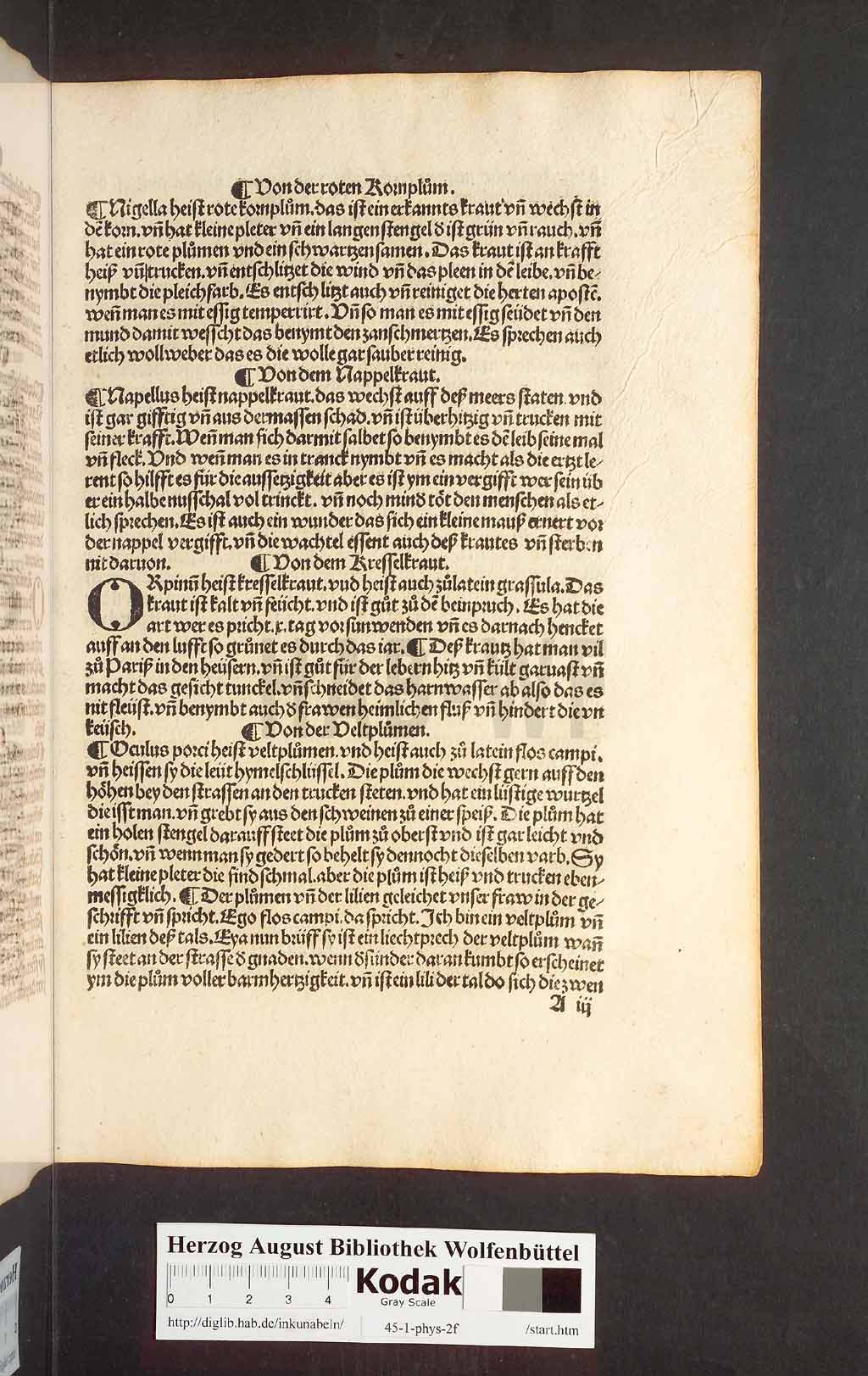 http://diglib.hab.de/inkunabeln/45-1-phys-2f/00291.jpg