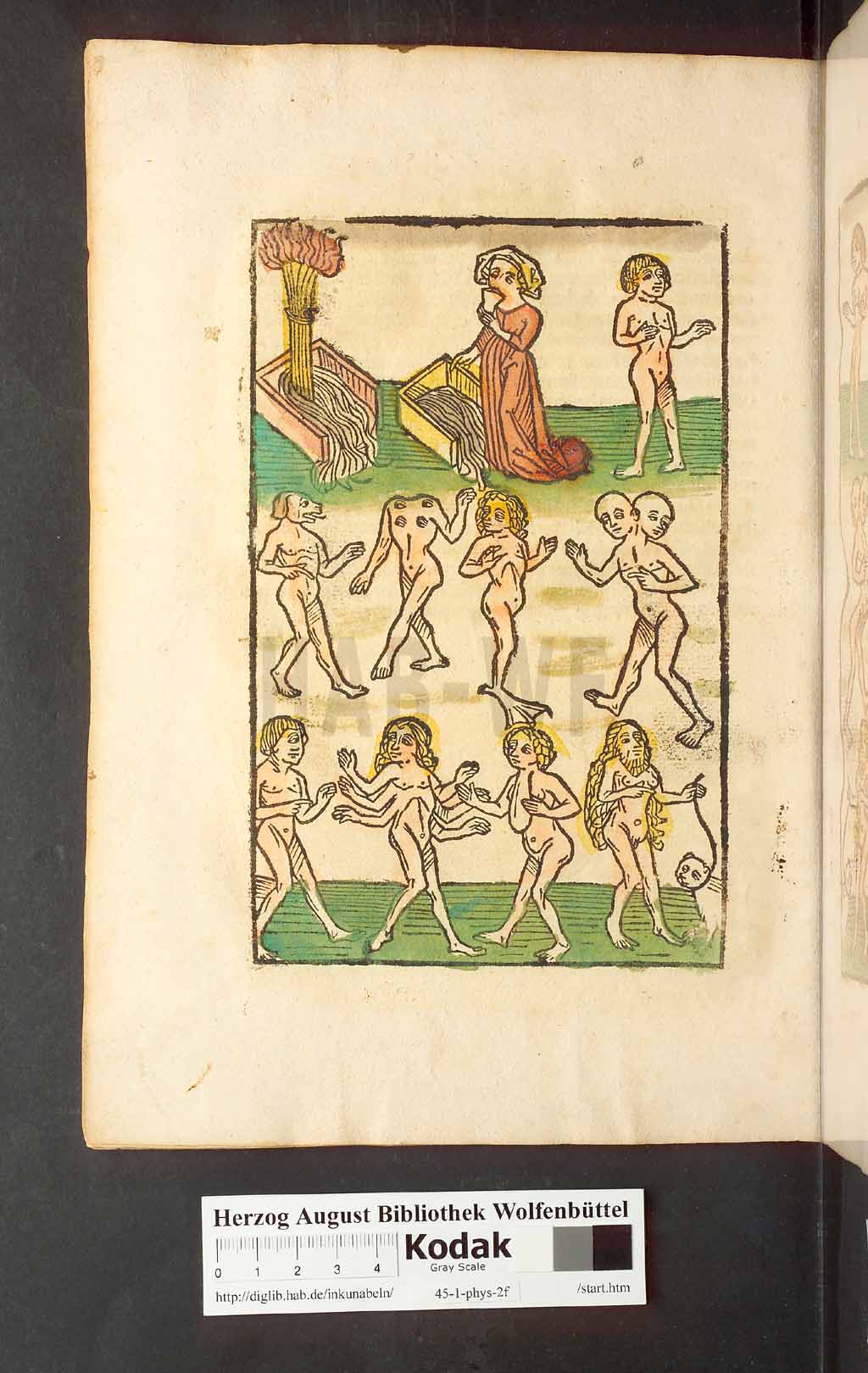http://diglib.hab.de/inkunabeln/45-1-phys-2f/00336.jpg