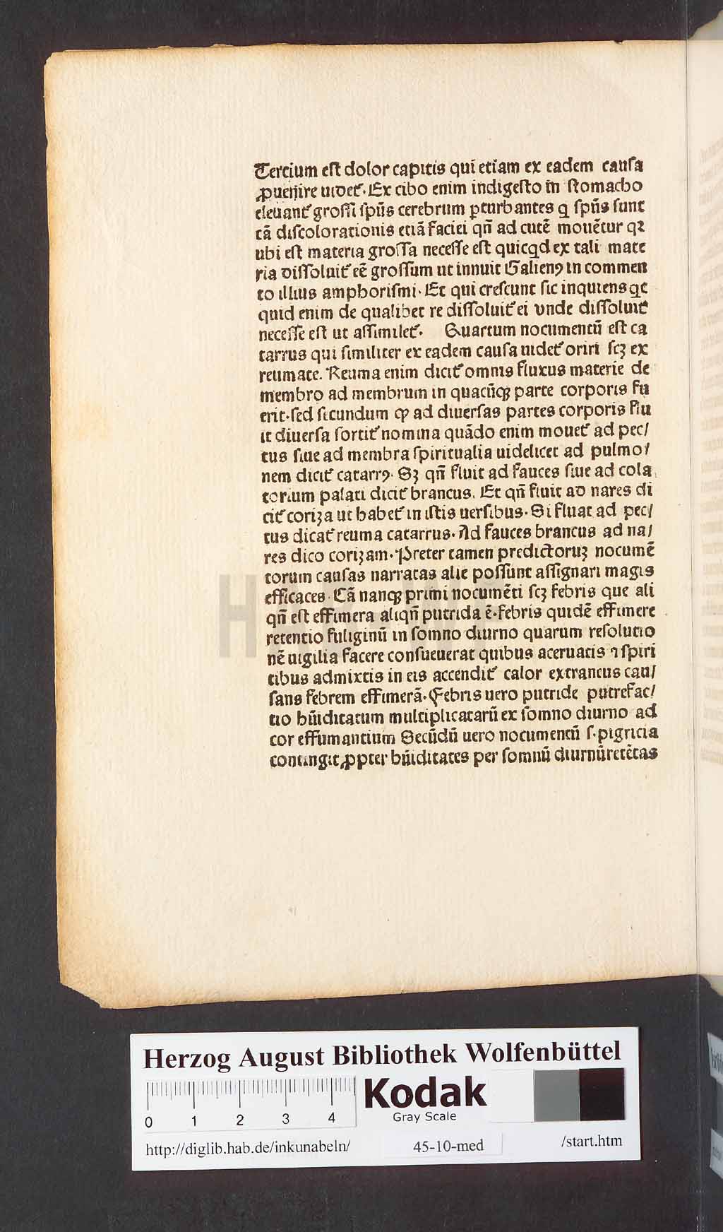 http://diglib.hab.de/inkunabeln/45-10-med/00012.jpg