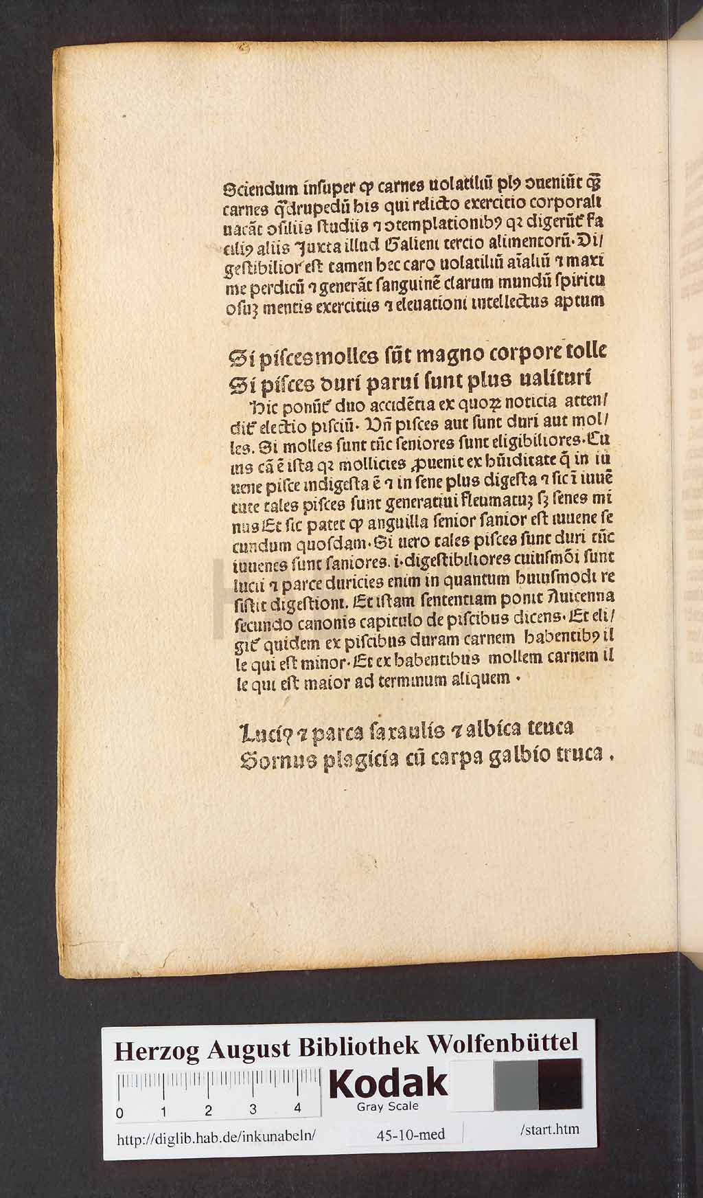 http://diglib.hab.de/inkunabeln/45-10-med/00094.jpg