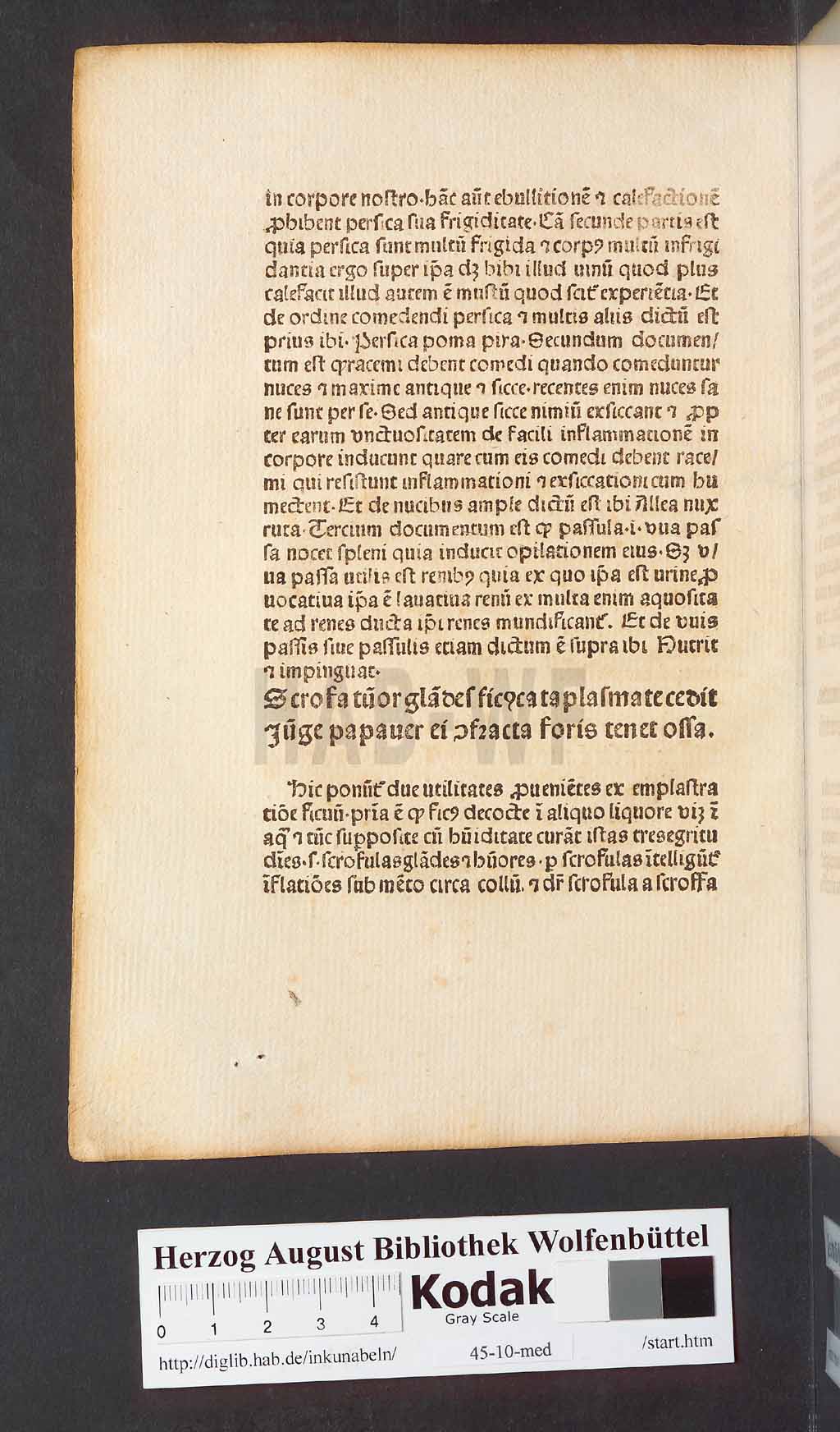 http://diglib.hab.de/inkunabeln/45-10-med/00118.jpg