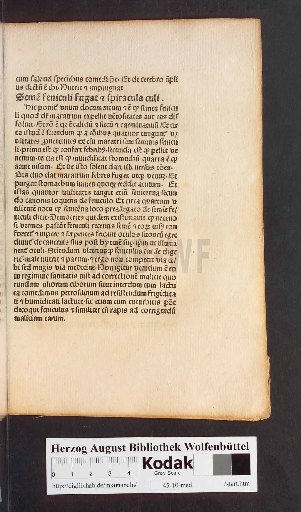 http://diglib.hab.de/inkunabeln/45-10-med/00127.jpg