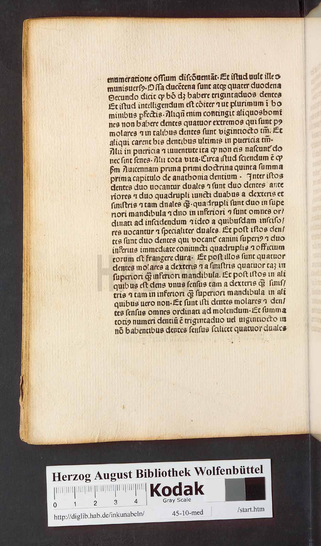 http://diglib.hab.de/inkunabeln/45-10-med/00174.jpg