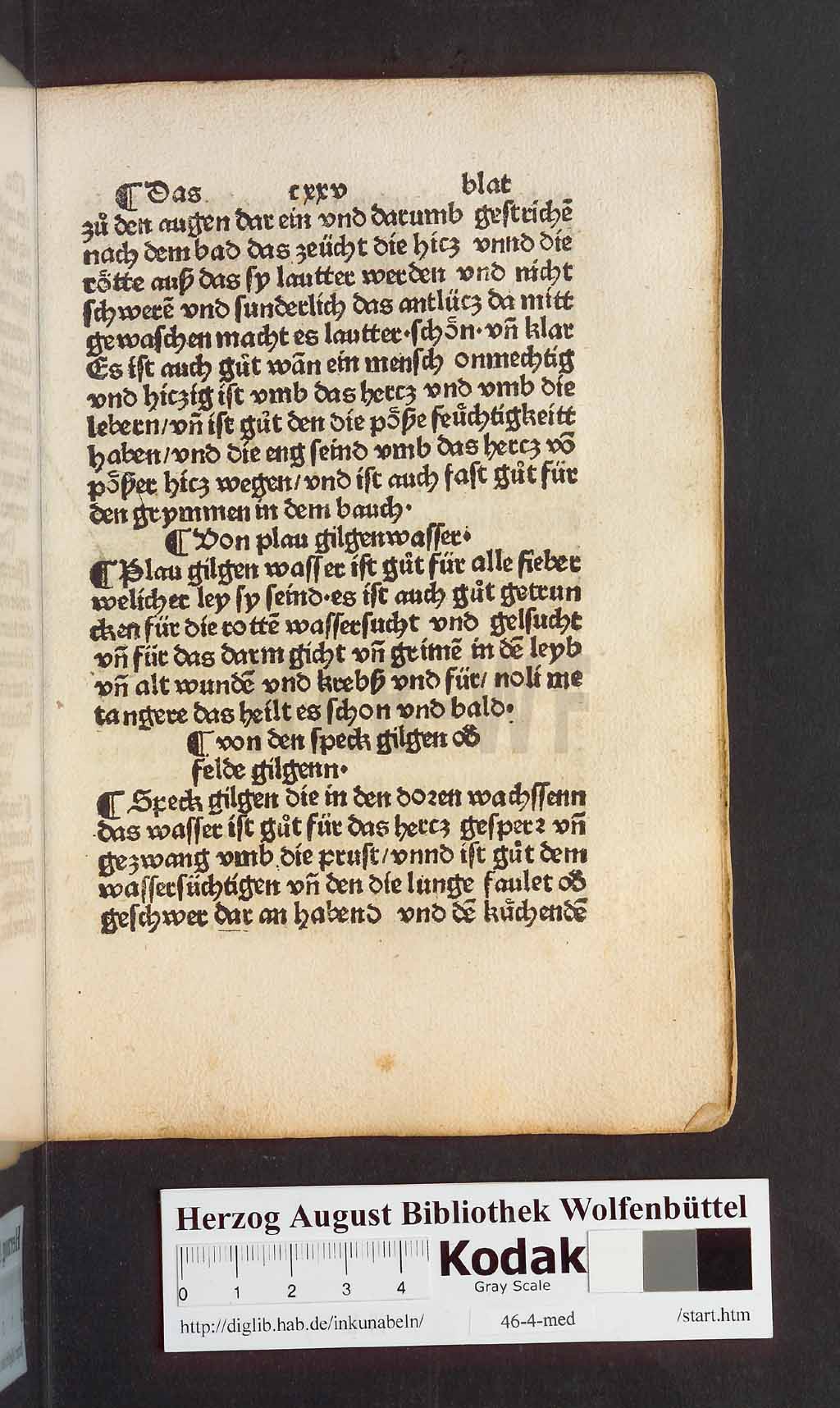 http://diglib.hab.de/inkunabeln/46-4-med/00251.jpg