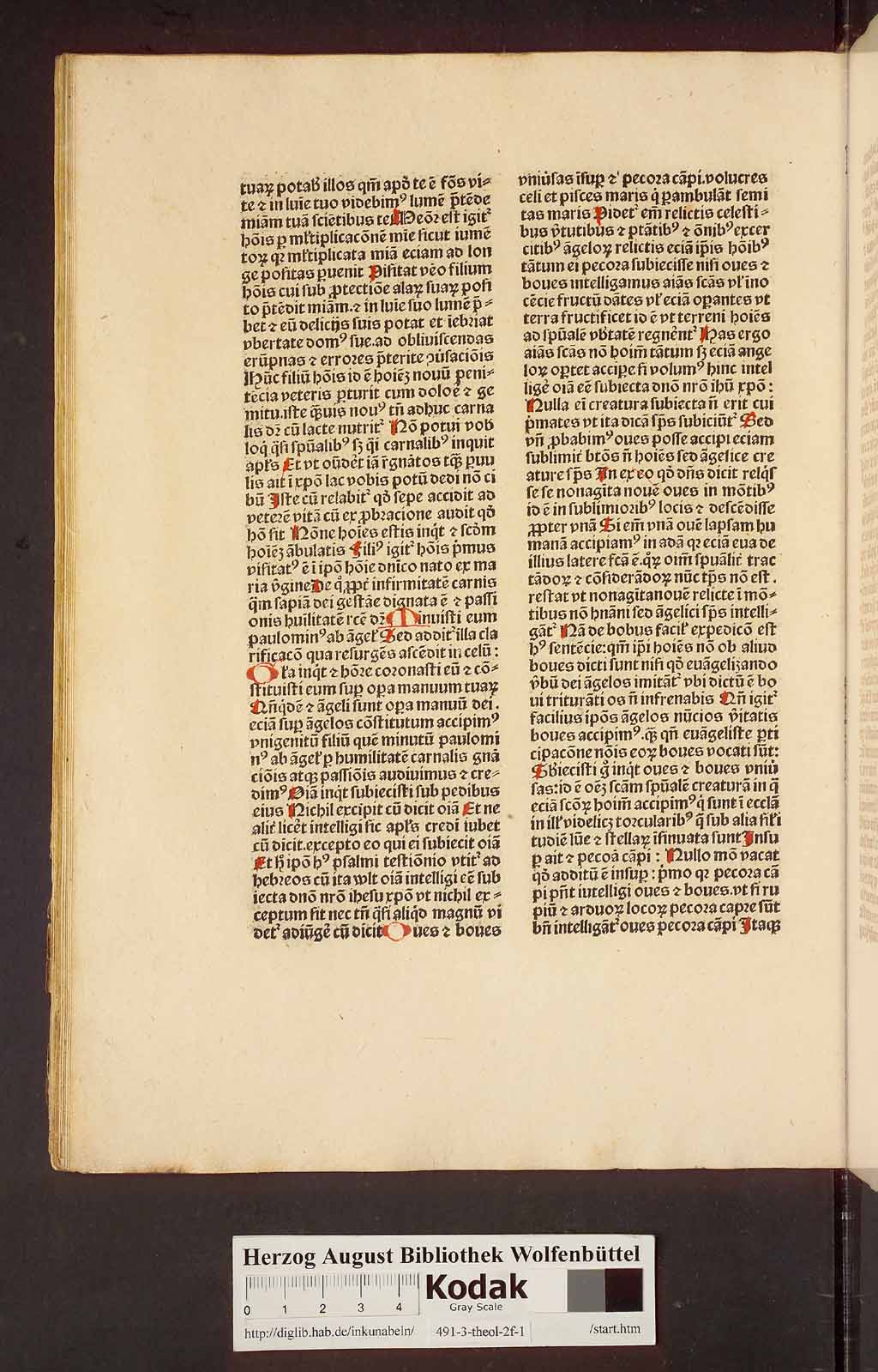 http://diglib.hab.de/inkunabeln/491-3-theol-2f-1/00050.jpg