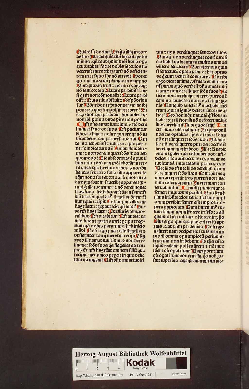 http://diglib.hab.de/inkunabeln/491-3-theol-2f-1/00252.jpg