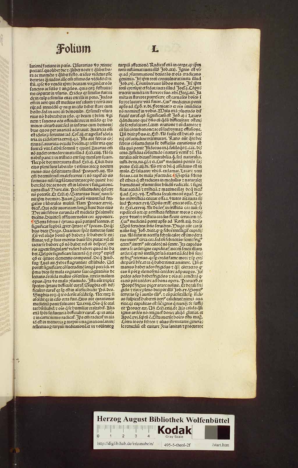 http://diglib.hab.de/inkunabeln/495-5-theol-2f/00133.jpg