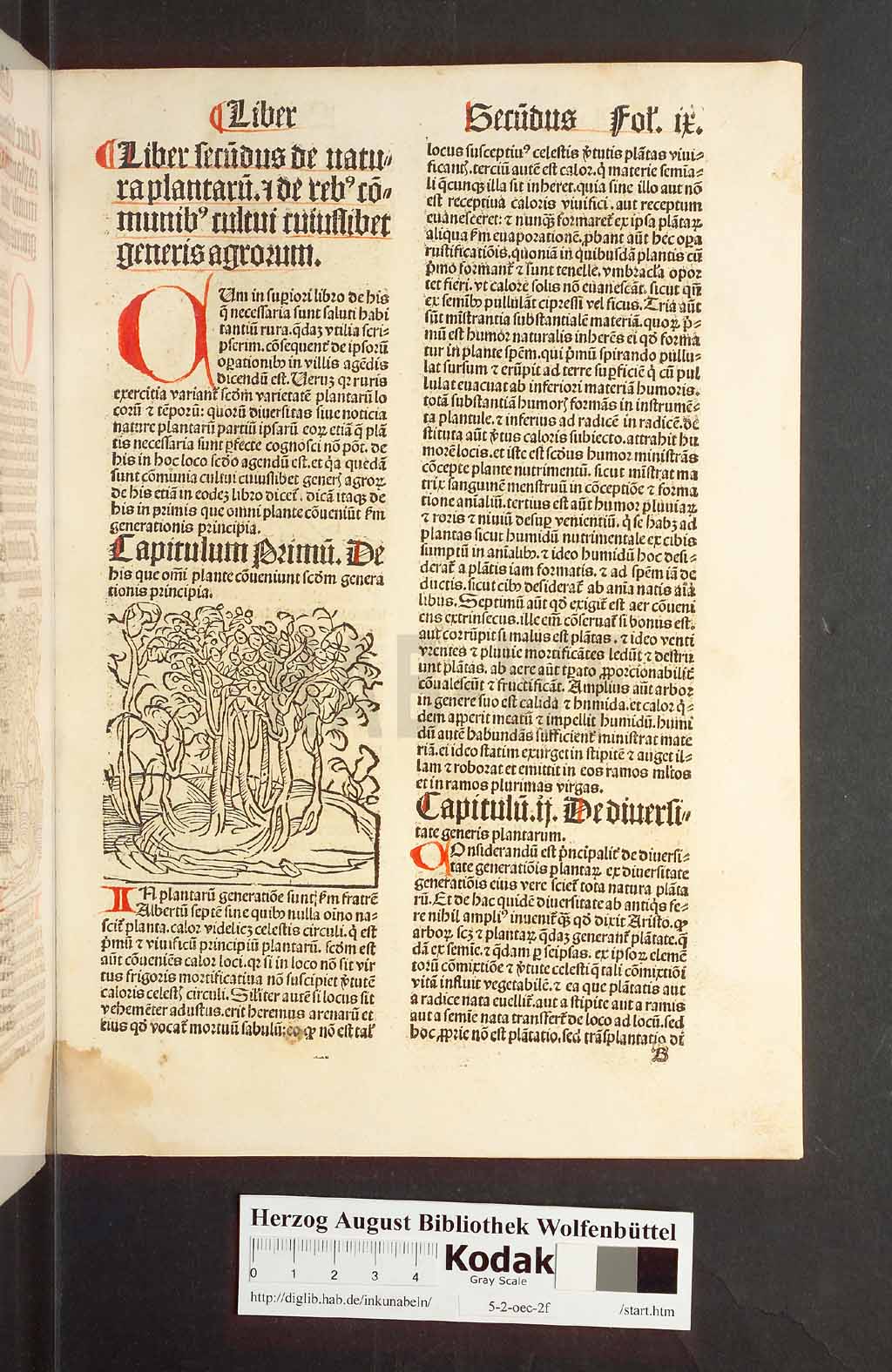http://diglib.hab.de/inkunabeln/5-2-oec-2f/00021.jpg