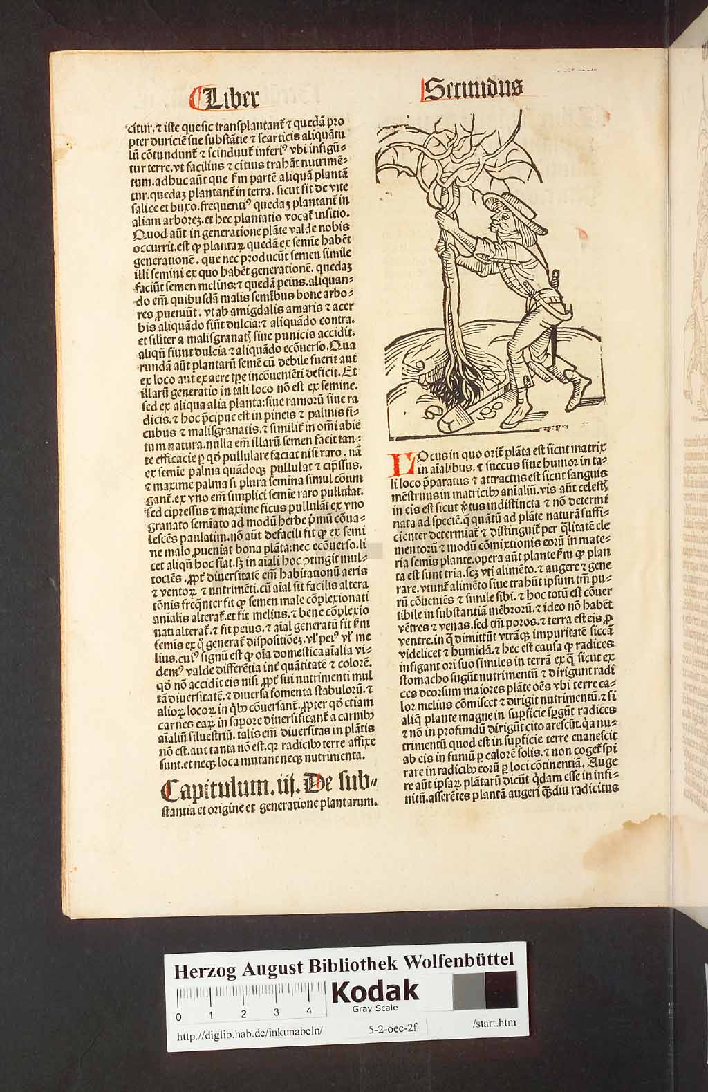 http://diglib.hab.de/inkunabeln/5-2-oec-2f/00022.jpg