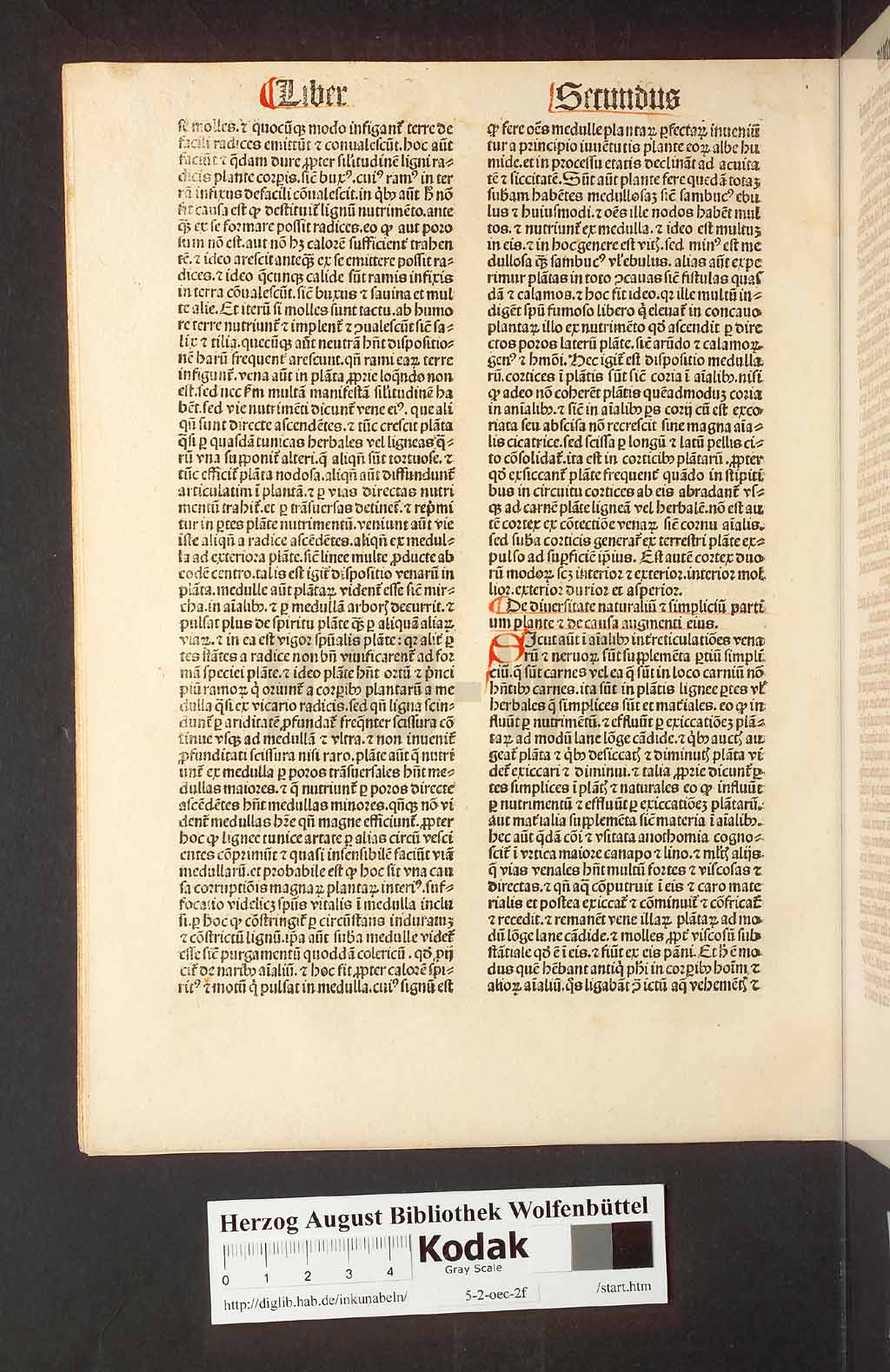http://diglib.hab.de/inkunabeln/5-2-oec-2f/00024.jpg