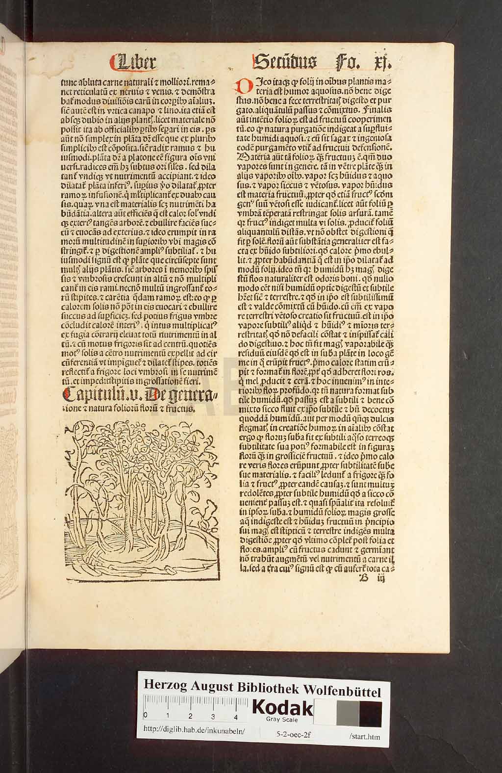 http://diglib.hab.de/inkunabeln/5-2-oec-2f/00025.jpg