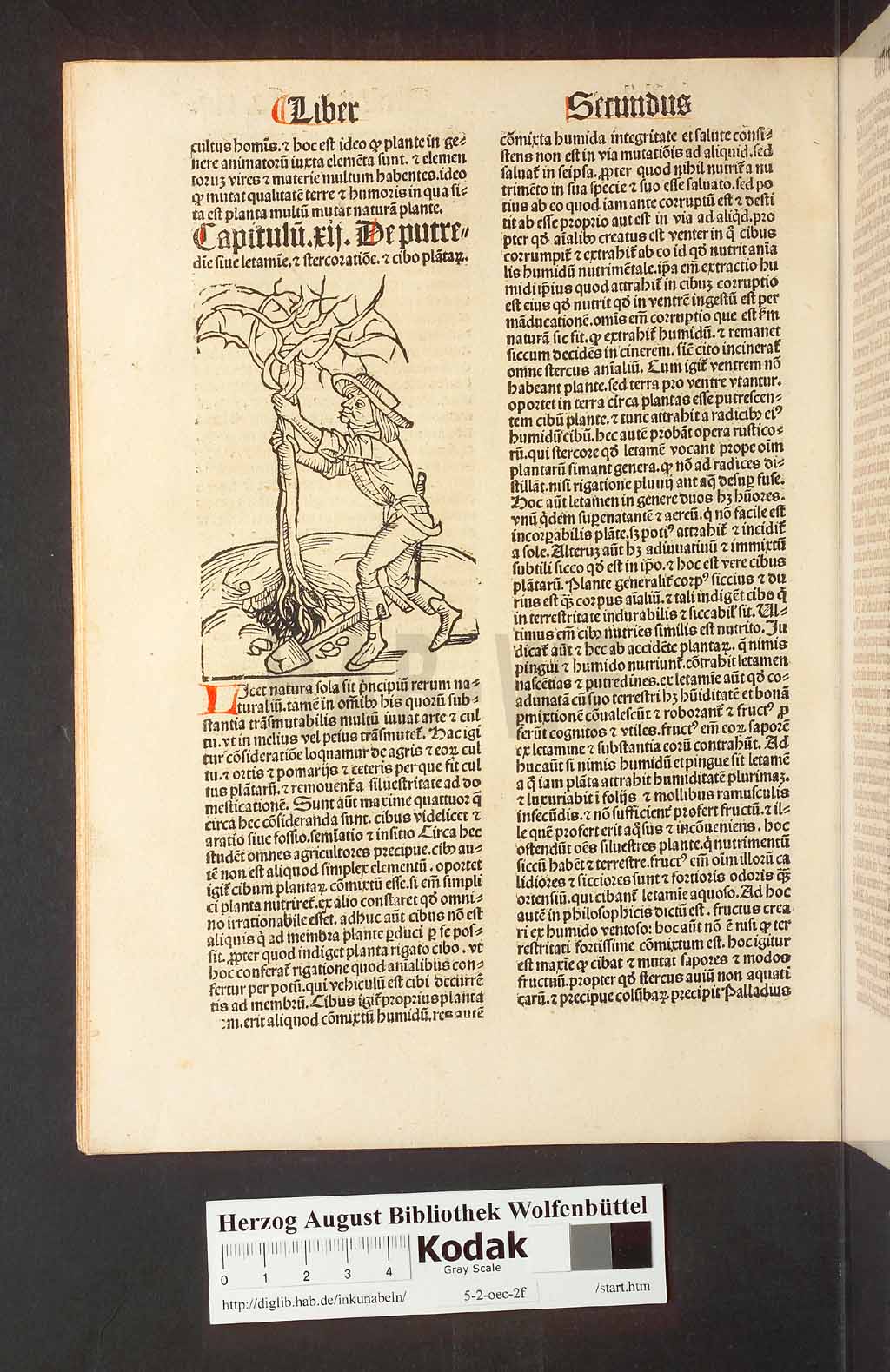 http://diglib.hab.de/inkunabeln/5-2-oec-2f/00030.jpg