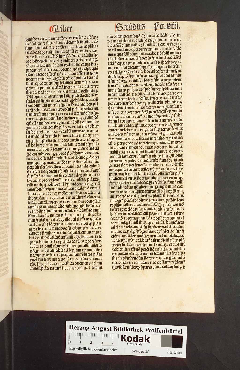 http://diglib.hab.de/inkunabeln/5-2-oec-2f/00031.jpg