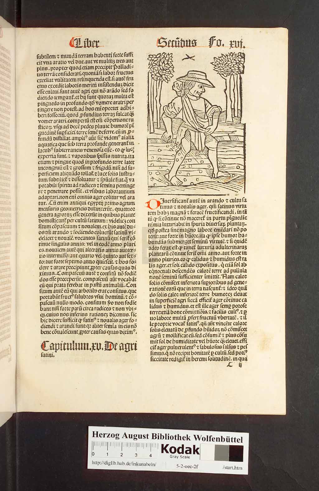 http://diglib.hab.de/inkunabeln/5-2-oec-2f/00035.jpg