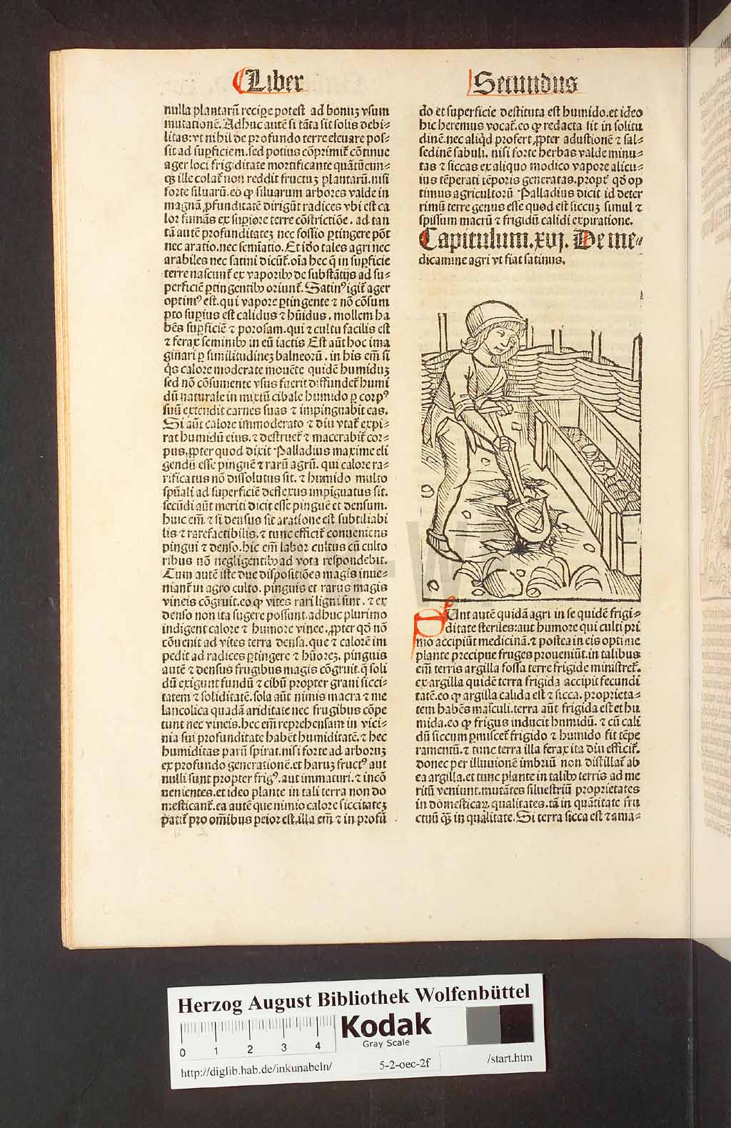 http://diglib.hab.de/inkunabeln/5-2-oec-2f/00036.jpg