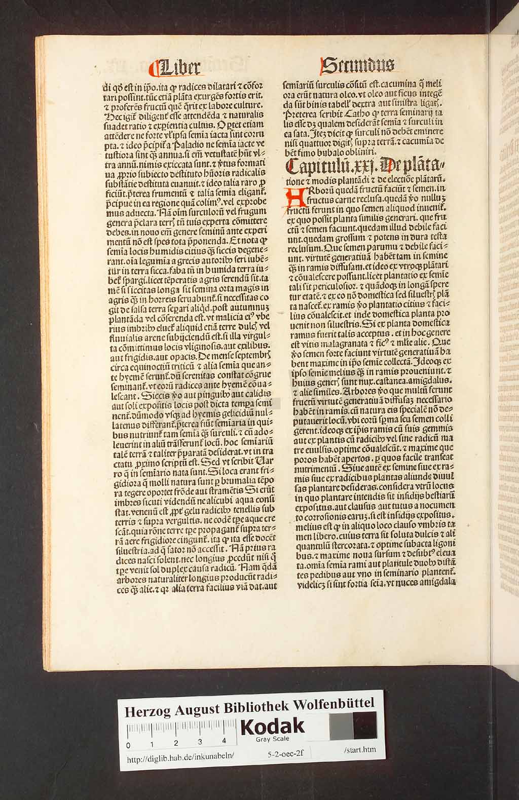 http://diglib.hab.de/inkunabeln/5-2-oec-2f/00042.jpg
