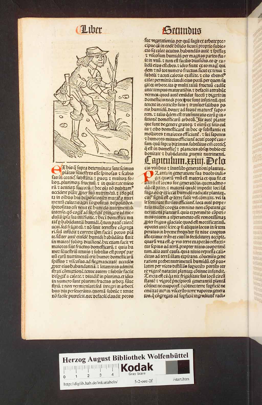 http://diglib.hab.de/inkunabeln/5-2-oec-2f/00048.jpg
